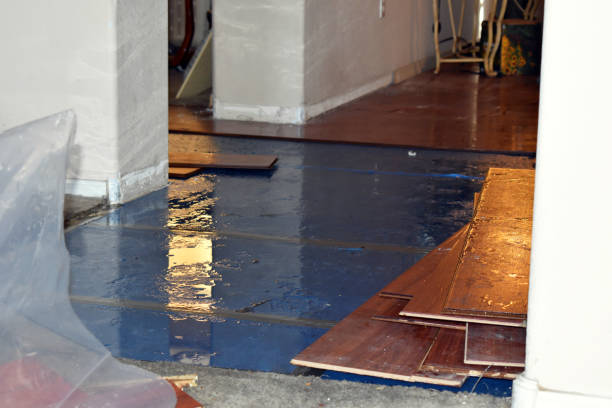 Professional Basement Flood Cleanup technician working in Rutland, SD